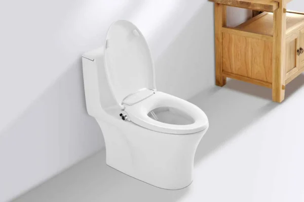 Nắp rửa không dùng điện