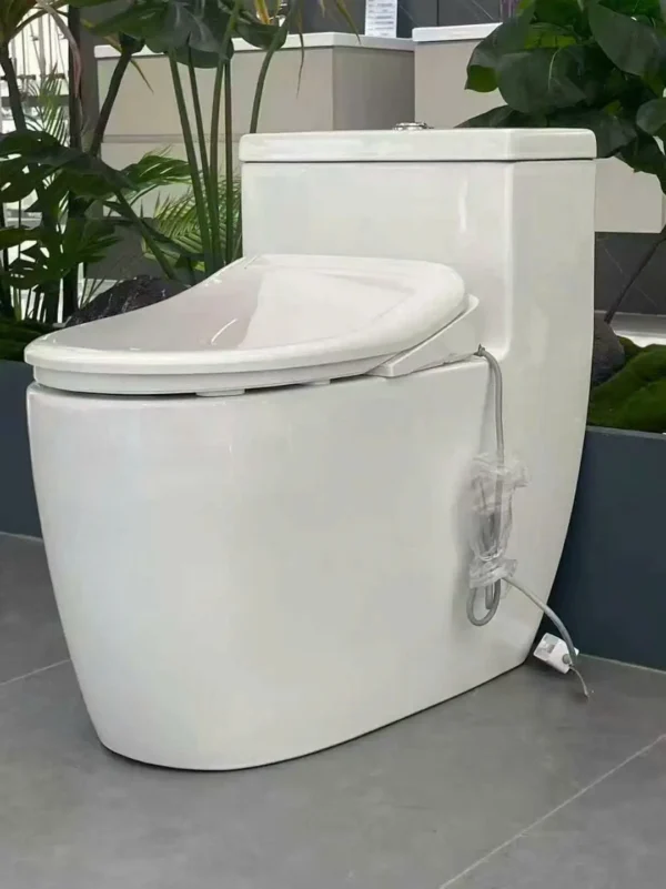 Nắp rửa tự động cao cấp
